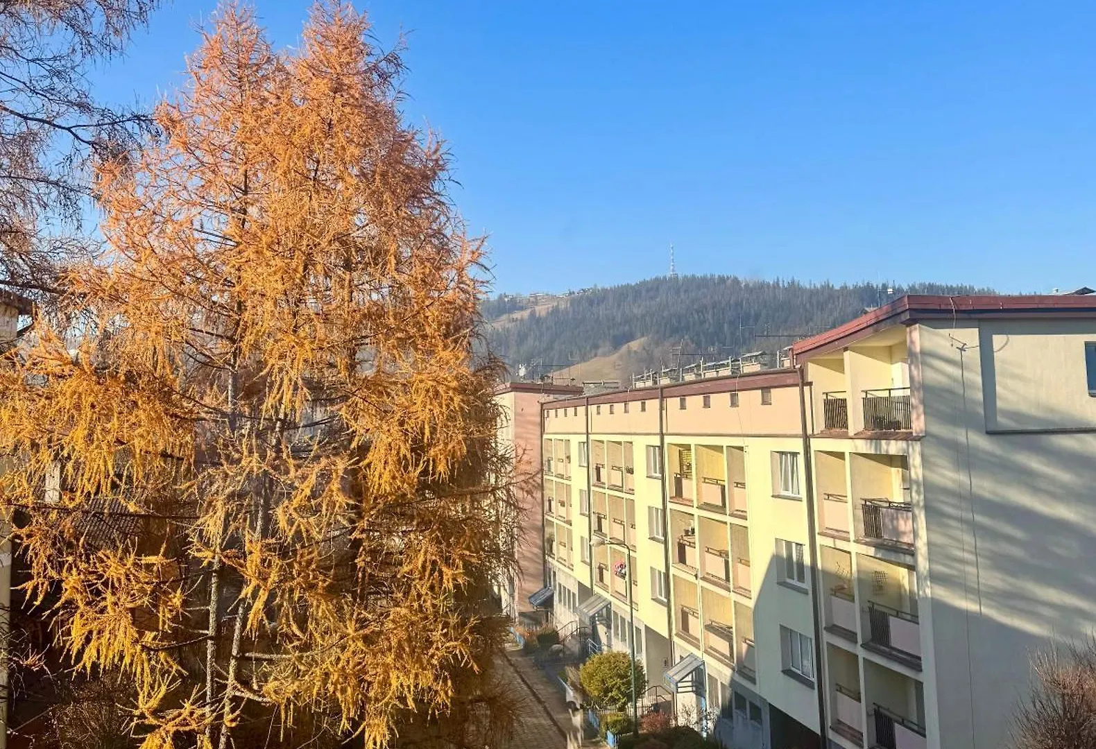Appartement Majowe Sagankowo à Zakopane Pologne
